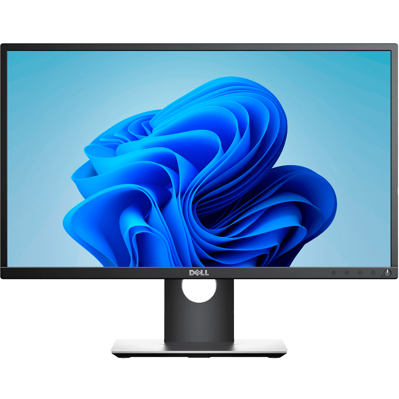 DELL P2417HT