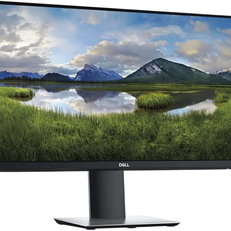 DELL P2419H